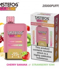 New Dual Flavors Tastefog GEMINI 25000 Puffs Vape Mr Blue + Triple Melon